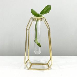 Glass Propagation Test Tube Stand With Gold Metal Accent